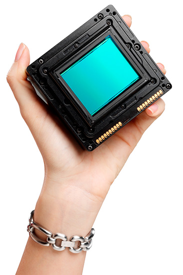 Una mano femenina sostiene un respaldo digital de formato medio