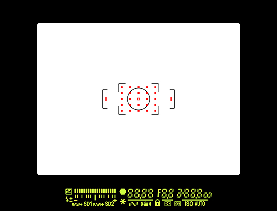 Cámara Pentax 645Z, imagen a través del visor, con puntos AF