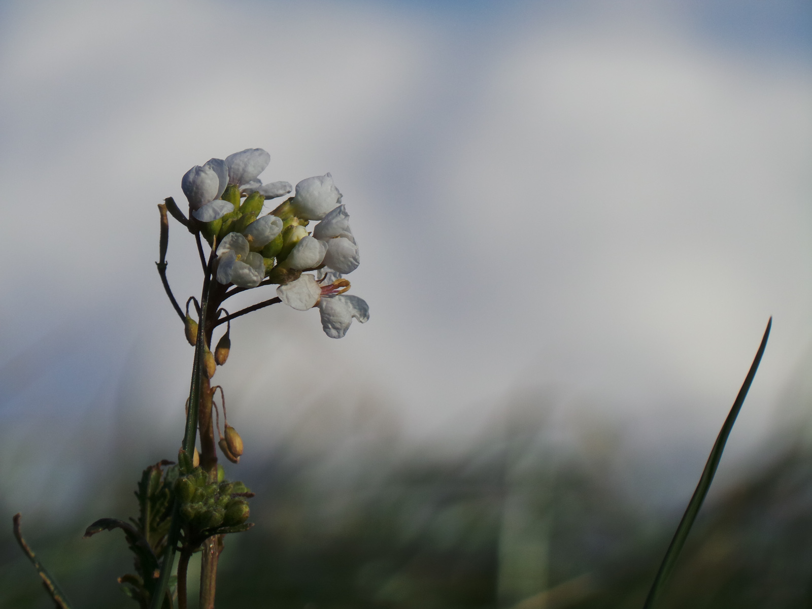 Samsung-GalaxyCamera_Con_11_A