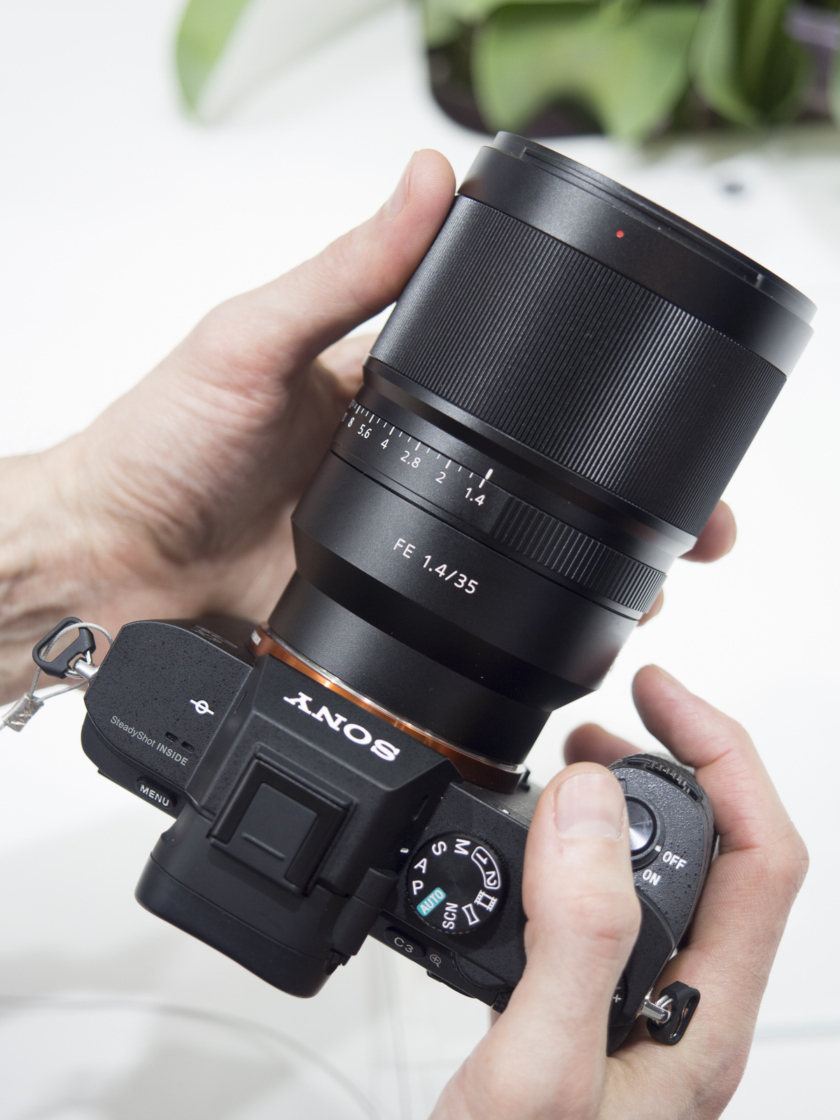 Zeiss Distagon T* FE 35 mm f/1,4 ZA, montado sobre una Sony A7