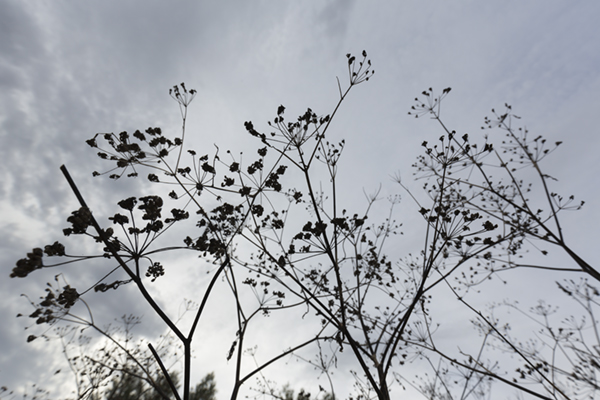 Imagen tomada con el Canon EF 16-35 mm f/4 L IS USM