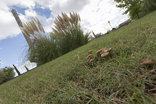 Imagen tomada con el Canon EF 16-35 mm f/4 L IS USM