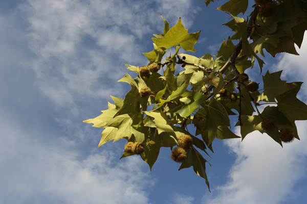 Imagen tomada con el Canon EF 16-35 mm