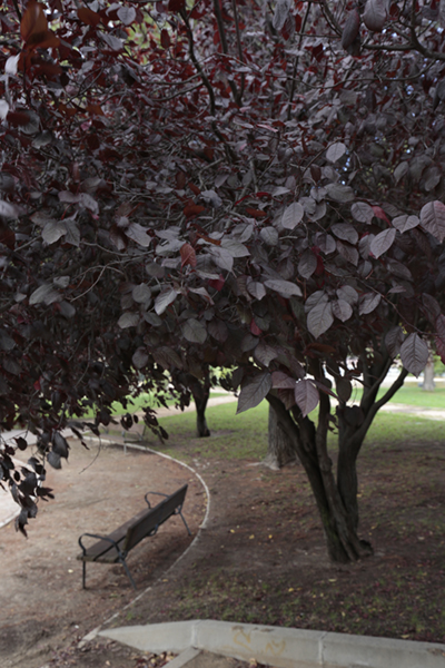 Imagen tomada con el Canon EF 16-35mm