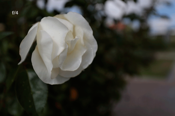 Animación con las diferentes aperturas del Canon EF 16-35 mm