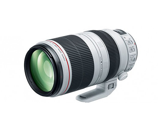 Objetivo Canon EF 100-400 mm f/4-5,6L IS USM