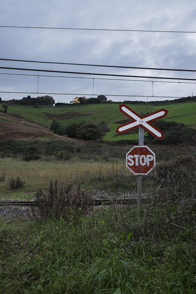 Publirreportaje Fujifilm Asturias, DSLR Magazine, X-T1GS + Zoom XF 50-140 f/2,8 R LM OIS WR
