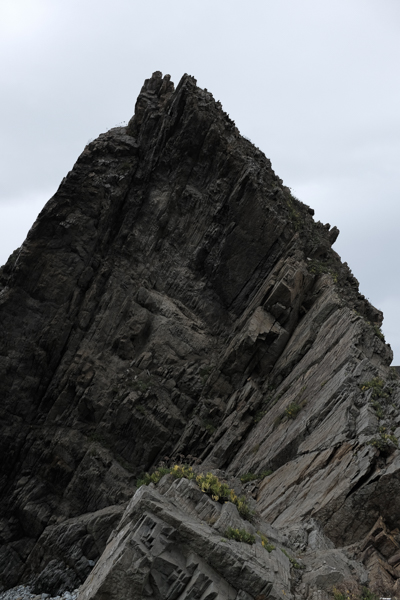 Prueba de campo Fujifilm X100T, contraste modo Classic Chrome,