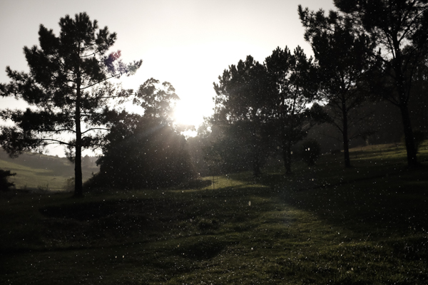 Prueba de producto Fujifilm X100T, contraluz con lluvia, obturación electrónica,