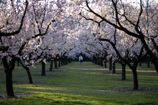 Fujinon_56_mm_f/1,2_galeria_3