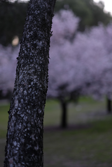 Fujinon_56mm_galeria9