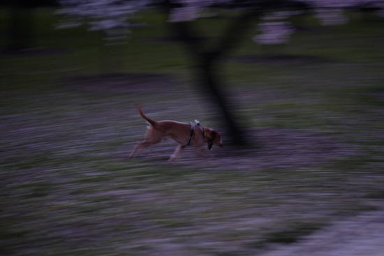 Fujinon_56mm_galeria11