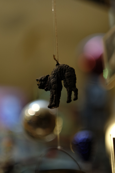 Fujinon_56mm_galeria15