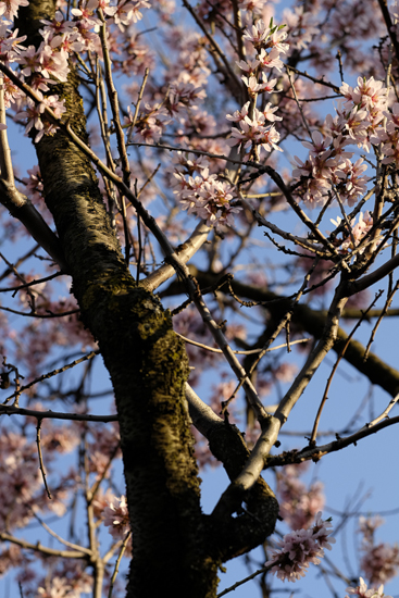 Fujinon_56mm_galeria5