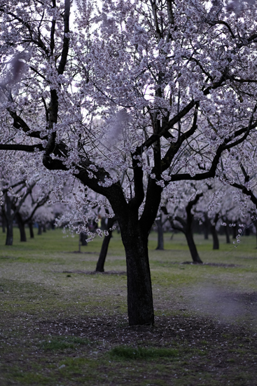 Fujinon_56mm_galeria7