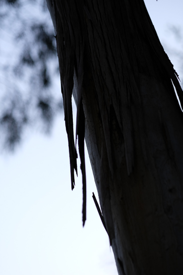 Fujinon_56mm_galeria8