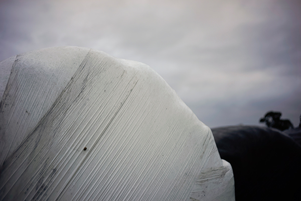 Paisaje con un silo de heno, en plástico blanco