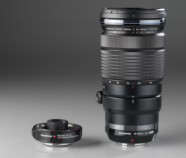 Prueba de campo Olympus M-Zuiko Digital 40-150 Pro