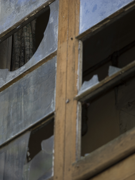 Prueba de campo Olympus M-Zuiko Digital 40-150 Pro, foco selectivo