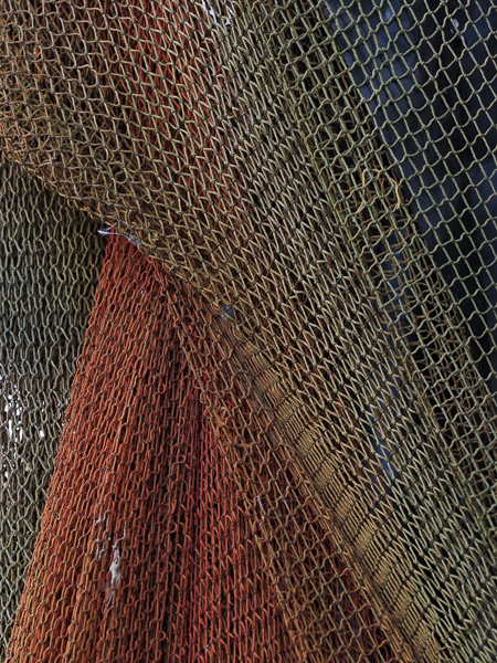 Prueba de campo Olympus M-Zuiko Digital 40-150 Pro, Redes cudillero