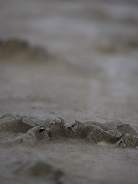 Prueba de campo Olympus M-Zuiko Digital 40-150 Pro, foco selectivo