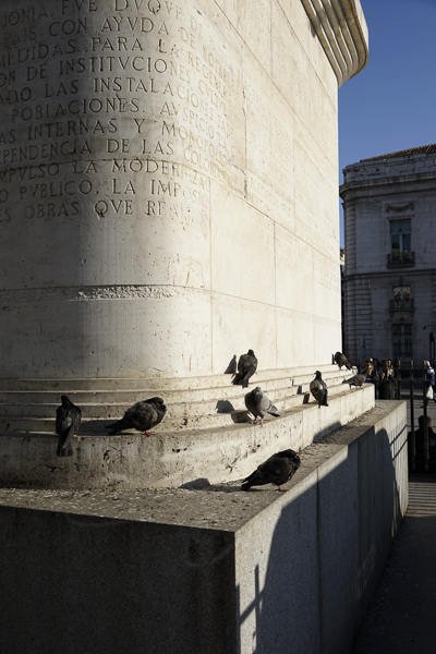 Sony 24-240 mm f/3,5-6,3, monumento con palomas, toma angular