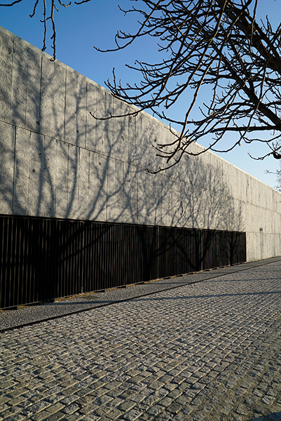 Cámara Sony A7R con objetivo Sony FE 28 mm f/2, sombras de árboles sobre tapia y ramas de árbol